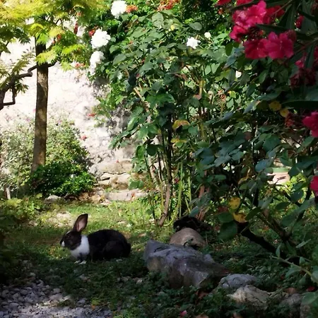 Holiday home La Fontaine